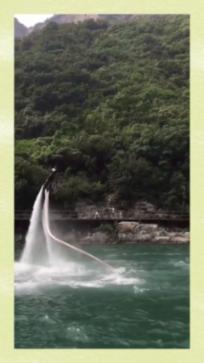 拯救铁笼中的小牛
