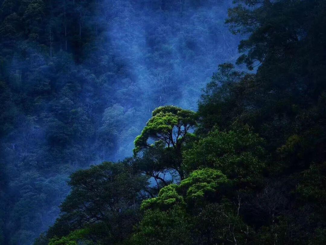 解答问题,尽在贵太太山茶油爆光了吗