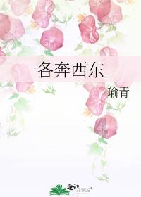 鸟鸣攻击
