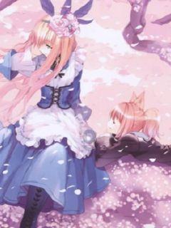 《波斯王子失落的王冠》锦绣神鸟护符获取方法